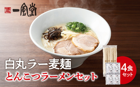 一風堂白丸ラー麦麺セット（4食） ラーメン 麺 濃厚 豚骨 とんこつ 福岡 八女 博多 博多一風堂 072-323