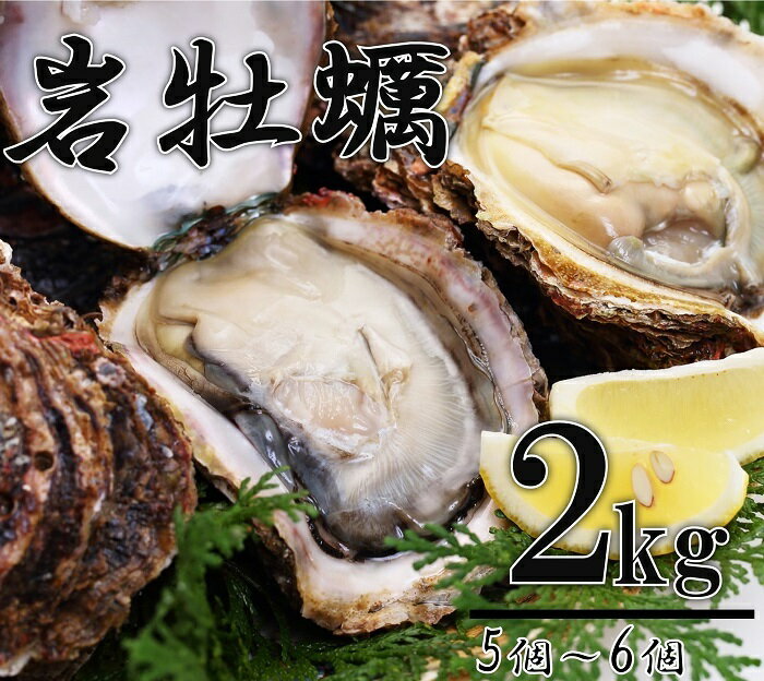 【ふるさと納税】牡蠣 カキ 岩ガキ 岩がき 岩牡蠣 岩カキ 海のミルク 濃厚 クリーミー 夏バテ防止 2kg 3kg 5kg 10kg 焼き牡蠣 蒸し牡蠣 加熱 (10021)