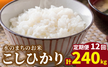 【令和7年産】【12ヶ月定期便】こしひかり 20kg×12回 計240kg（白米）「エコファーマー米」ー水のまちのお米ー[T-003001]