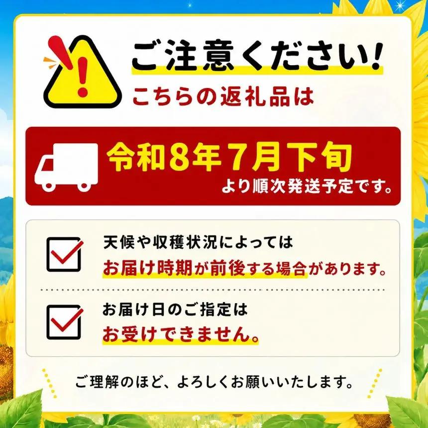 八ヶ岳産 朝採れ とうもろこし 20本 【2026年7月下旬～発送】| イケブチ農園