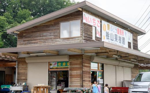 いちご 紅白食べ比べ 2パック×1箱 | 先行予約 いちご 香り 大粒 いちご 白いちご いばらキッス ひたち姫 やよいひめ 厳選 フルーツ 苺 新鮮 朝採れ 糖度 酸味 バランス 甘い 果肉 苺 品質 健康 果物 デザート 贈り物 食べ比べ 檜山いちご園 茨城県 常陸太田 人気