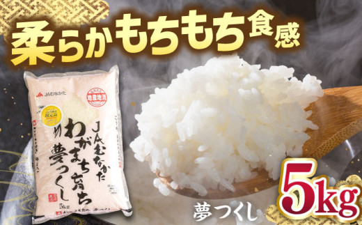 福岡産ブランド 米 夢つくし 5kg ▼ 米 こめ お米 福岡 九州 白米 精米 桂川町/南国フルーツ株式会社[ADBW028]