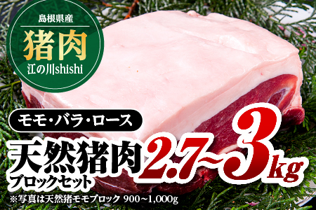 江の川shishi ブロックセット 2.7kg～3kg 猪肉 いのしし肉 イノシシ肉 ジビエ ロース モモ バラ 煮込み用 角煮 焼肉用