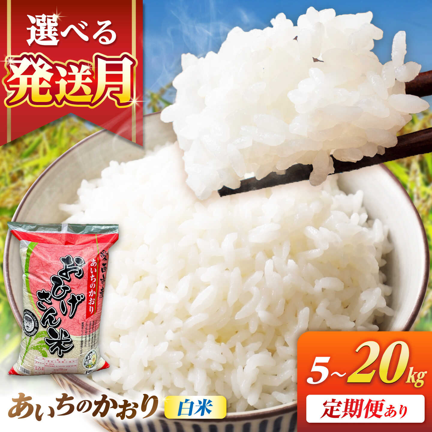 【ふるさと納税】＼選べる内容量・発送月・回数／ 令和7年産 あいちのかおり 5kg 10kg 20kg 選べる 選べる発送月 選べる回数 1回 3回 ブランド米 銘柄米 国産 精米 白米 米 お米 こめ コメ ご飯 ごはん 小分け 定期便 先行予約 愛西市/脇野コンバイン[AECP001]