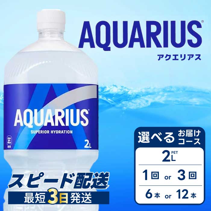 【ふるさと納税】【選べる本数・回数】アクエリアス PET 2L 6本（1ケース）/ 12本（2ケース） お届け回数 1回/3回 最短3日で発送 スポーツドリンク スポーツ飲料 清涼飲料水 水分補給 ペットボトル 箱買い まとめ買い 014019-r