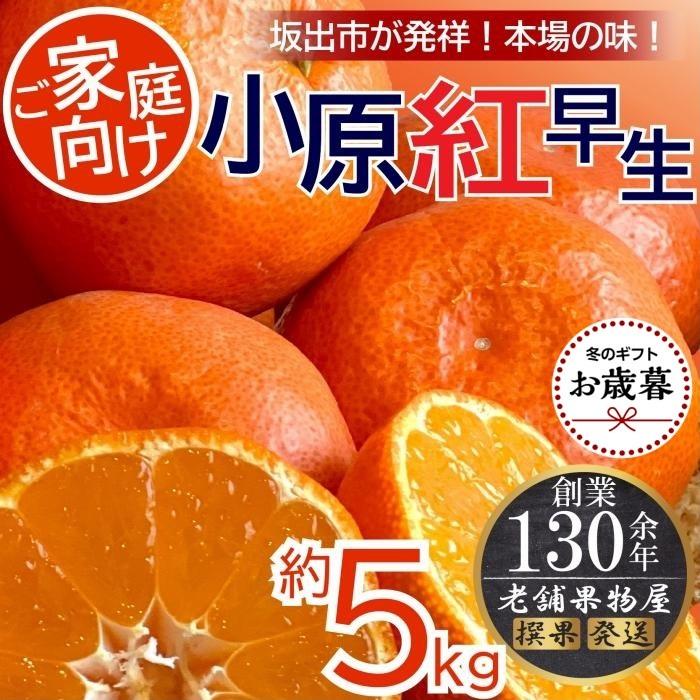 【ふるさと納税】【お歳暮ギフト/熨斗対応】特秀品！小原紅早生みかん　約5kg【坂出発祥の真っ紅なお蜜柑】