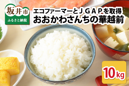 米 【令和6年産・新米】 おおかわさんちの華越前 10kg 【お米 こめ ハナエチゼン 10キロ 白米 精米 ご飯 ごはん 美味しい ふるさと納税米】 [A-10806]