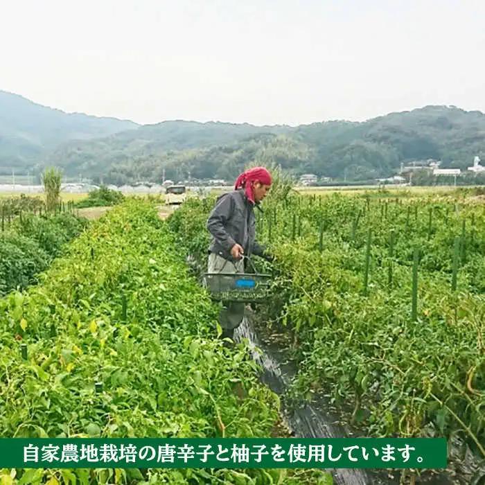 糸島産 手造り 極上 柚子 こしょう 3色 （ 青 ・ 黄 ・ 赤 ） 10本 セット 《糸島》 【小林農園】 [AZE003]