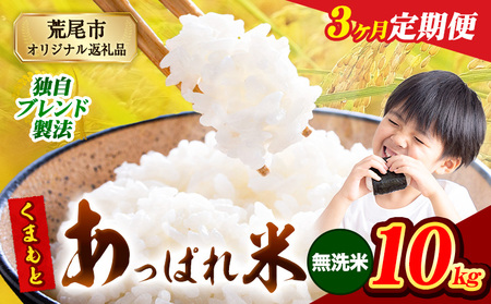 【3ヶ月定期便】 熊本県産 くまもとあっぱれ米 10kg  熊本県産 ふるさと納税  無洗米 精米 米 こめ ふるさとのうぜい コメ お米 おこめ《1月から出荷開始》