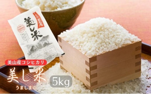 
                  [№5334-0019]米 美し米 5kg 美山産 コシヒカリ 白米 精米 コメ こめ お米 こしひかり 5 キロ ご飯 ごはん 京都 
                