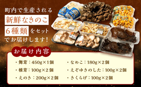 【B05201】きのこ詰合せ（6種類）セット