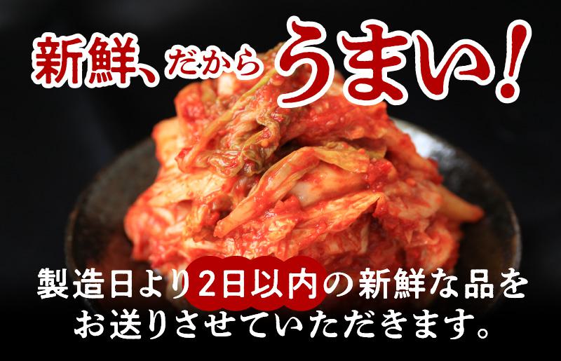 定期便 白菜キムチ 1kg × 3回【毎月配送コース 高評価 人気 惣菜 きむち 漬物 韓国グルメ おつまみ 家計応援 お楽しみ 福袋】 099Z246