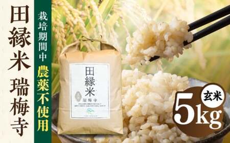 【先行受付中】 田縁米(でんえんまい)・瑞梅寺(ずいばいじ) 玄米 5kg 【2026年12月上旬順次発送】 糸島市 / NPO法人田縁プロジェクト 玄米 お米 [ATM005]