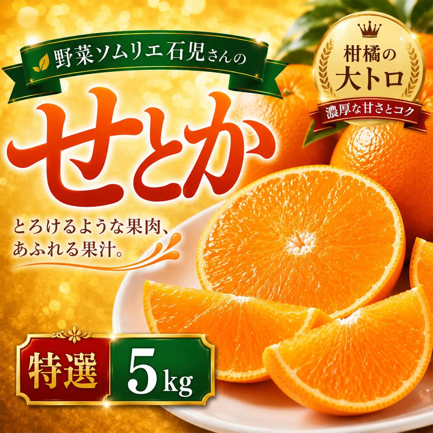 【2027年先行予約】 せとか 特選 5kg 柑橘 先行予約 野菜ソムリエ石児さん 豊予農場  ＜103-016＞