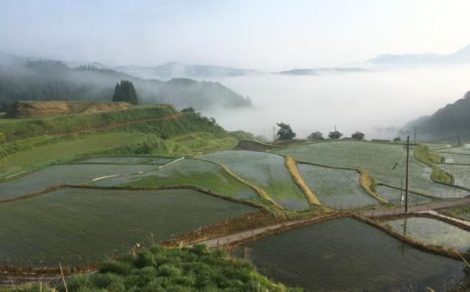 【兵庫県香美町産コシヒカリ】【令和7年産 とろかわの恋（極） 5kg×1】《無洗米仕様》 香美町産 但馬堆肥米 お米 白米 令和7年産 無洗米 ふるさと納税 返礼品 おすすめ 兵庫県 香美町 香住 ア