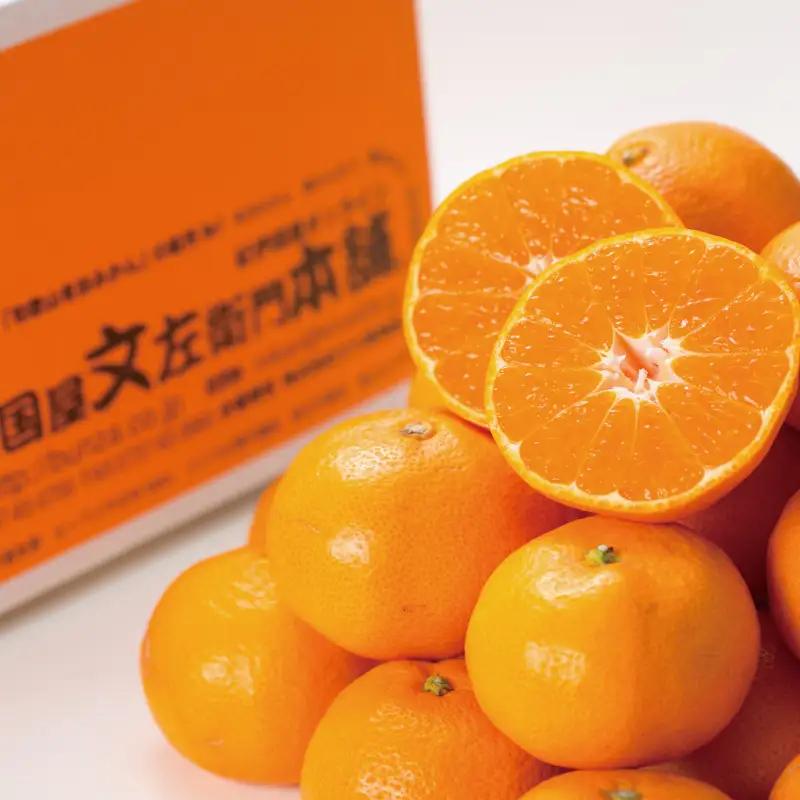 ブランド有田みかん【S】秀品10kg ／産地直送／薄皮で甘い美味しい和歌山県産／紀伊国屋文左衛門本舗　2026年11月上旬～2027年1月中旬頃に順次発送予定（お届け日指定不可）【ntb143C】