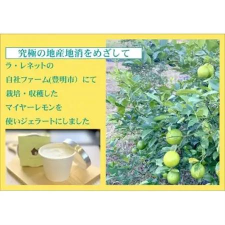 はちみつレモンシャーベット 90ml×8個【配送不可地域：離島】【1635822】
