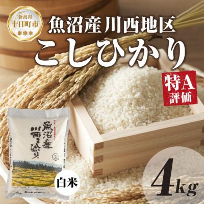 ふるさと納税 十日町市 【令和7年産】 魚沼産 川西 こしひかり 4kg 精米 新潟県産 お米 産地直送 十日町