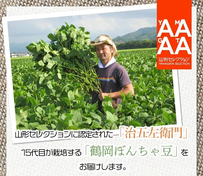 【令和9年産】枝豆 つるおか・ぼんちゃ豆 1.35kg(450g×3袋)  7月中旬～下旬 治五左衛門