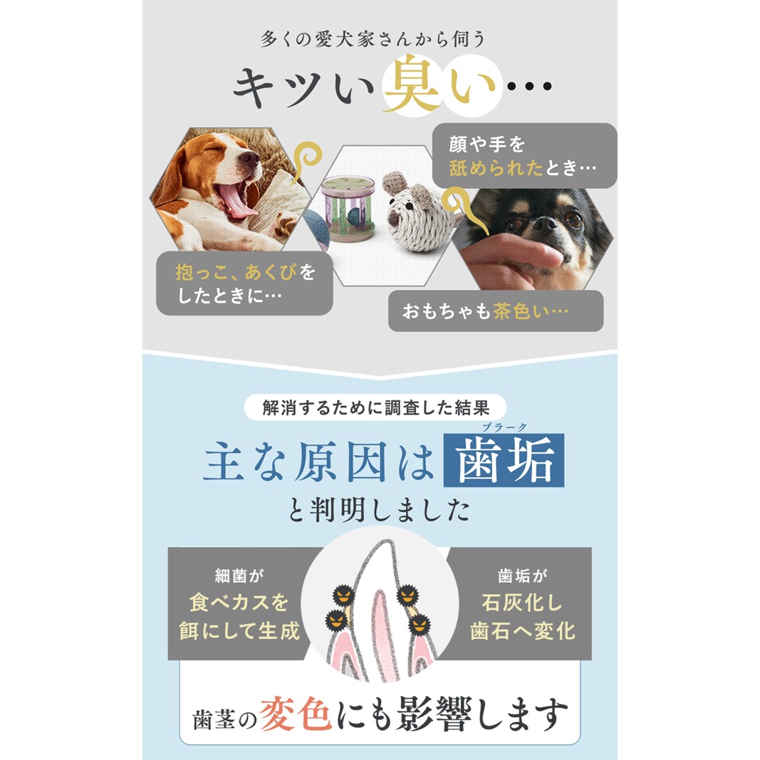 犬猫生活 犬猫兼用デンタルピューレ 国産鶏＆まぐろ味 1袋(30包入)