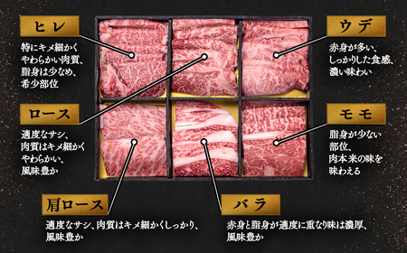 【母の日ギフト】宮崎牛6種盛り焼肉食べ比べセット計600g　ミヤチク　4等級以上 国産牛肉＜2.1-12＞