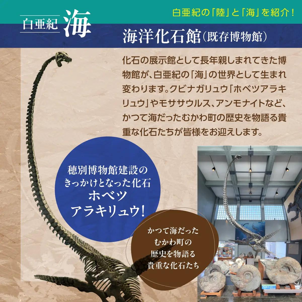 【令和8年4月25日OPEN】恐竜×海洋化石！むかわ町穂別恐竜博物館 共通入館券　大人用２枚セット MKWAM004