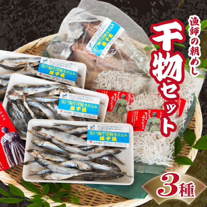 【ふるさと納税】 干物 3点 セット ( アジの開き ちりめんじゃこ ほたれ ) 深層水 仕込み 産地直送 美味しい おすすめ ちりめん 魚 海鮮 人気 ひもの 冷凍 国産 魚介 おかず おつまみ 送料無料 魚貝 詰め合わせ ふるさと納税 干物セット 干し物 贈答 父の日 高知県 須崎