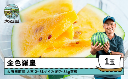 すいか 大玉 金色羅皇 2~3Lサイズ×1玉 2026年産 令和8年産 山形県産 大石田町産 東北 果物 くだもの フルーツ 人気 オススメ 便利 グルメ 取り寄せ ご当地 特産 産地 直送 支援 贈答 ギフト GIFT gt-sukrx2
