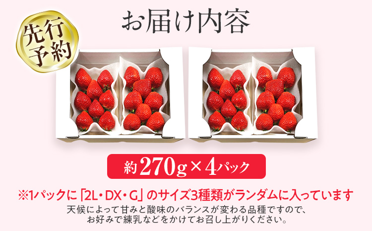 【先行予約/2026年】大木町産 あまおう いちご 約270ｇ×4パック《2026年2月以降順次発送》イチゴ 苺 果物 おすすめ 福岡県 大木町 CL001
