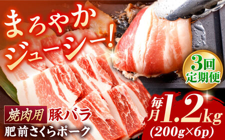 【定期便】 豚肉 焼肉用 総計3.6kg NAC604 豚肉 全3回