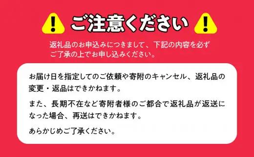 【定期便】レタス彩(いろどり)3種セット全2回（2026年9月以降順次発送）  OSU002