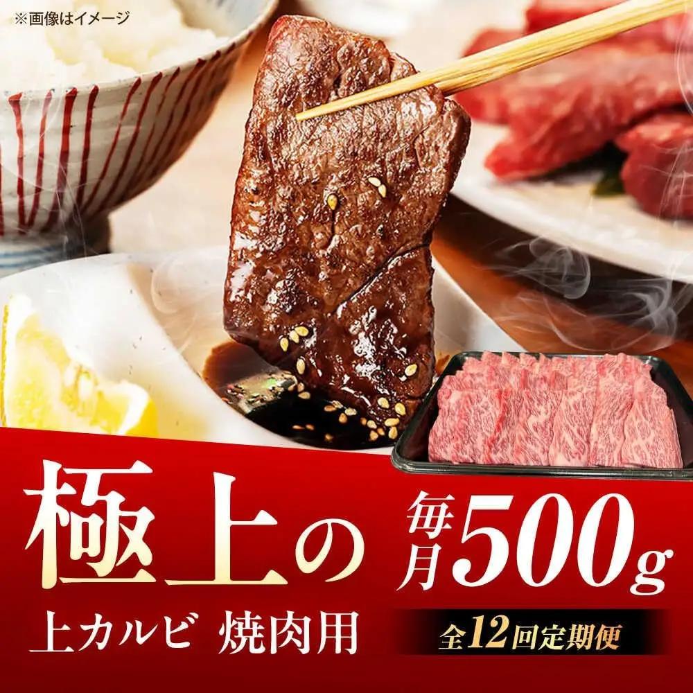 【12回定期便】佐賀牛 上カルビ 焼肉用 500g /MKミート武雄[UEM052] カルビ焼肉
