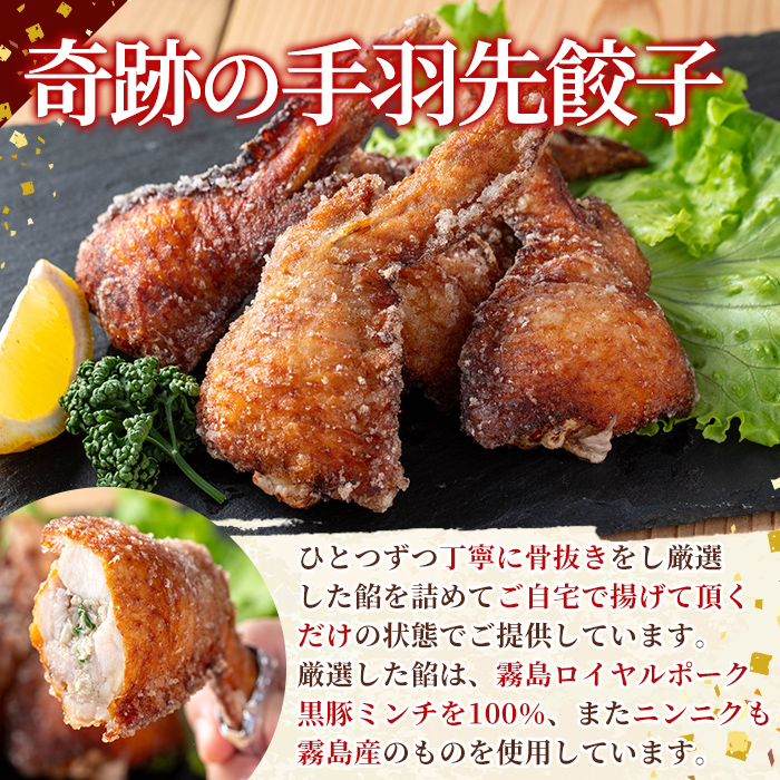 K-285-C 霧島黒豚使用！餃子2種セット(手羽先餃子5個×1P・むじょか餃子15個×2P 計35個)【MAGONIMO餃子】
