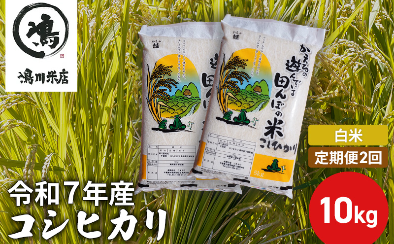 【定期2ヶ月】コシヒカリ　白米　10kg（5kg×2）令和7年産 お米 銘柄米 ご飯 おにぎり お弁当 和食 食卓 精米 国産 千葉県産 産地直送