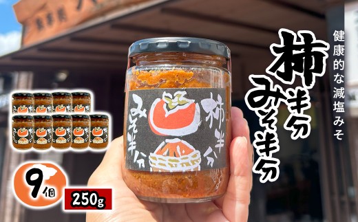 W036501　柿半分 みそ半分　9個