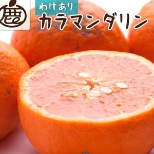 家庭用 カラマンダリン5kg+250g(傷み補償分)【南津海・なつみ】【希少な春柑橘】【訳あり】【配送不可地域：離島・北海道・沖縄県】【1356090】