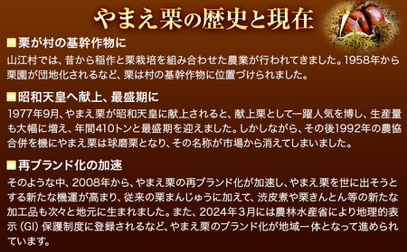 GI認証登録 山江村の やまえ栗 生栗 2kg 品種指定なし 筑波 美玖里 など旬の品種 やまえ栗ブランド部会 有限会社やまえ堂《9月下旬-10月中旬頃出荷》熊本県 球磨郡 山江村 栗 くり フルーツ