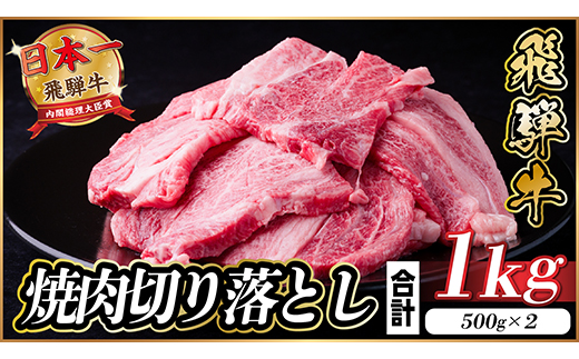 【訳あり】飛騨牛焼肉切り落とし 約1kg タレ付き【配送不可地域：離島】