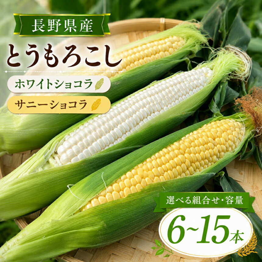 【ふるさと納税】 とうもろこし ホワイトショコラ サニーショコラ 【選べる組合せ・容量】| 農家直送 トウモロコシ 甘い 野菜 ジューシー みずみずしい 生食 茹で 焼き 栄養 おやつ 長野県 南信州 飯田市