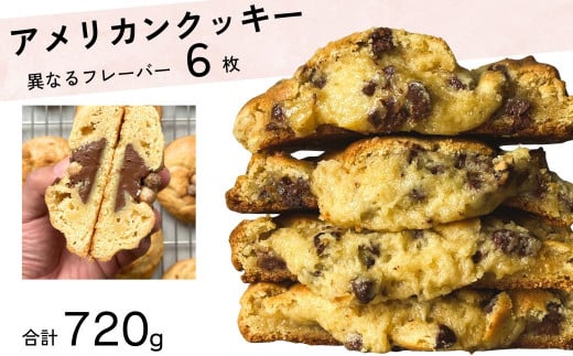 グルメクッキー専門店 クッキー 6枚 詰め合わせ【マイクッキーストア MY COOKIE STORE クッキー アメリカン フレーバー 背徳感 焼き菓子 人気 定番  埼玉県 久喜市】