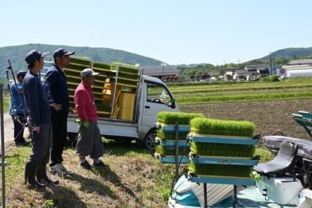 【3回定期便】《 先行予約 》 きぬひかり 京丹波町産 5kg 3カ月定期便 合計15kg 令和8年産米 精米 お米 京都 丹波 キヌヒカリ 特A獲得 産地直送 ※北海道・東北・沖縄・その他離島は配送