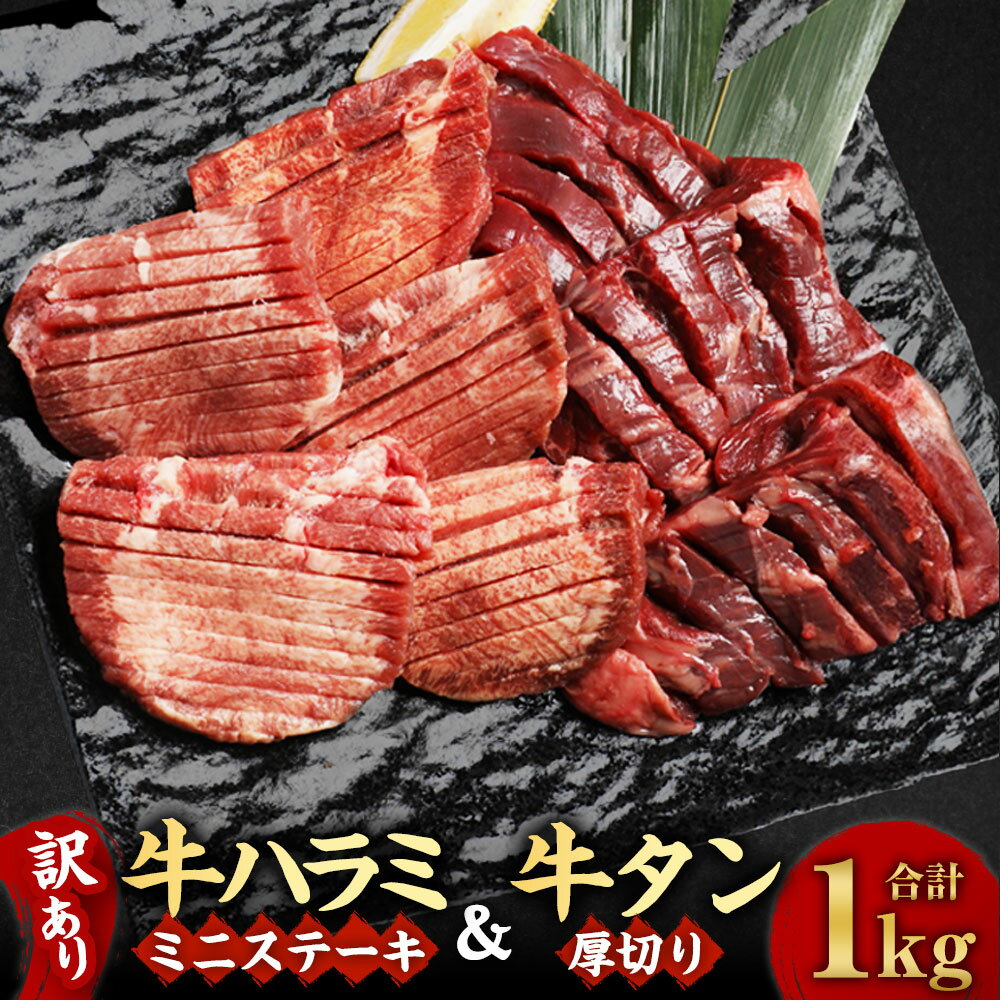 【ふるさと納税】 訳あり 厚切り 牛ハラミ ミニステーキ ＆ 厚切り 牛タン セット 合計1kg 肉 お肉 牛 牛肉 ハラミ タン タン肉 ステーキ 焼肉 焼き肉 塩味 不揃い 食品 冷凍 熊本県 湯前町 送料無料