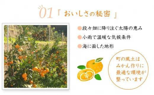 訳あり 早生みかん 大小混合 5kg 和歌山みかん