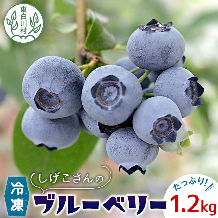 【ふるさと納税】数量限定！ 冷凍 ブルーベリー 約1.2kg 300g×4パック 小分け 便利 しげこさんのブルーベリー 甘い 大粒 ジャム お菓子 スイーツ デザート アイス 果物 フルーツ ブルーベリージャム 無農薬 化学肥料不使用 岐阜県 東白川村産 産地直送 大容量 10000円