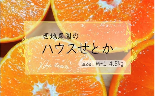 【先行予約】西地農園のハウスせとか 4.5kg L～Mサイズ【2026年2月中旬より順次発送】 / 手選別 せとか ハウスせとか みかん ミカン 蜜柑 柑橘 果物 くだもの フルーツ 産地直送 人気
