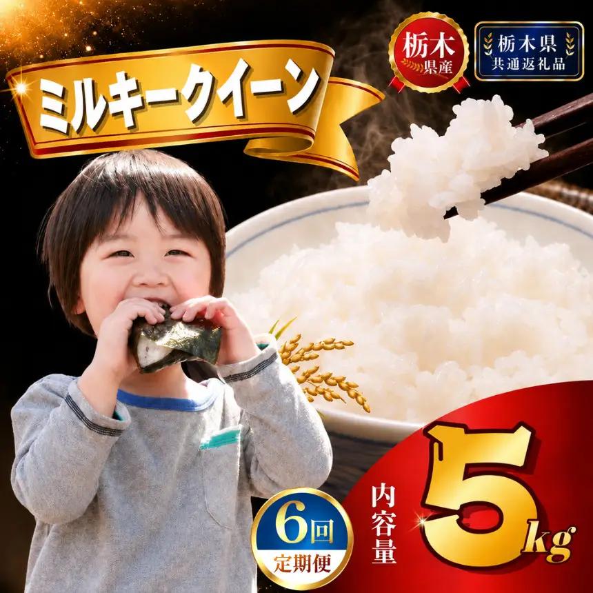 【新米】定期便6回 ﾐﾙｷｰｸｲｰﾝ 5kg×1袋【栃木県共通返礼品 栃木県産】AB | 栃木県 下野市