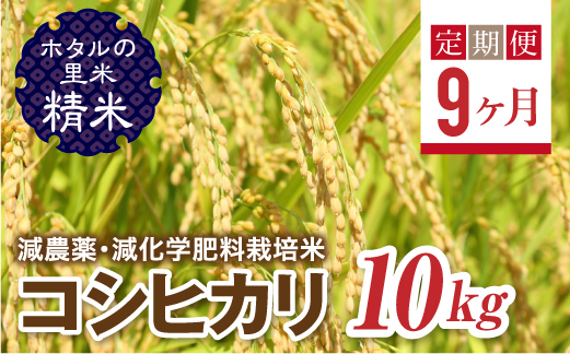 
＜定期便9ヶ月＞【ホタルの里米】環境に配慮し農薬を減らした栽培米 コシヒカリ精米10kg F4D-0678
