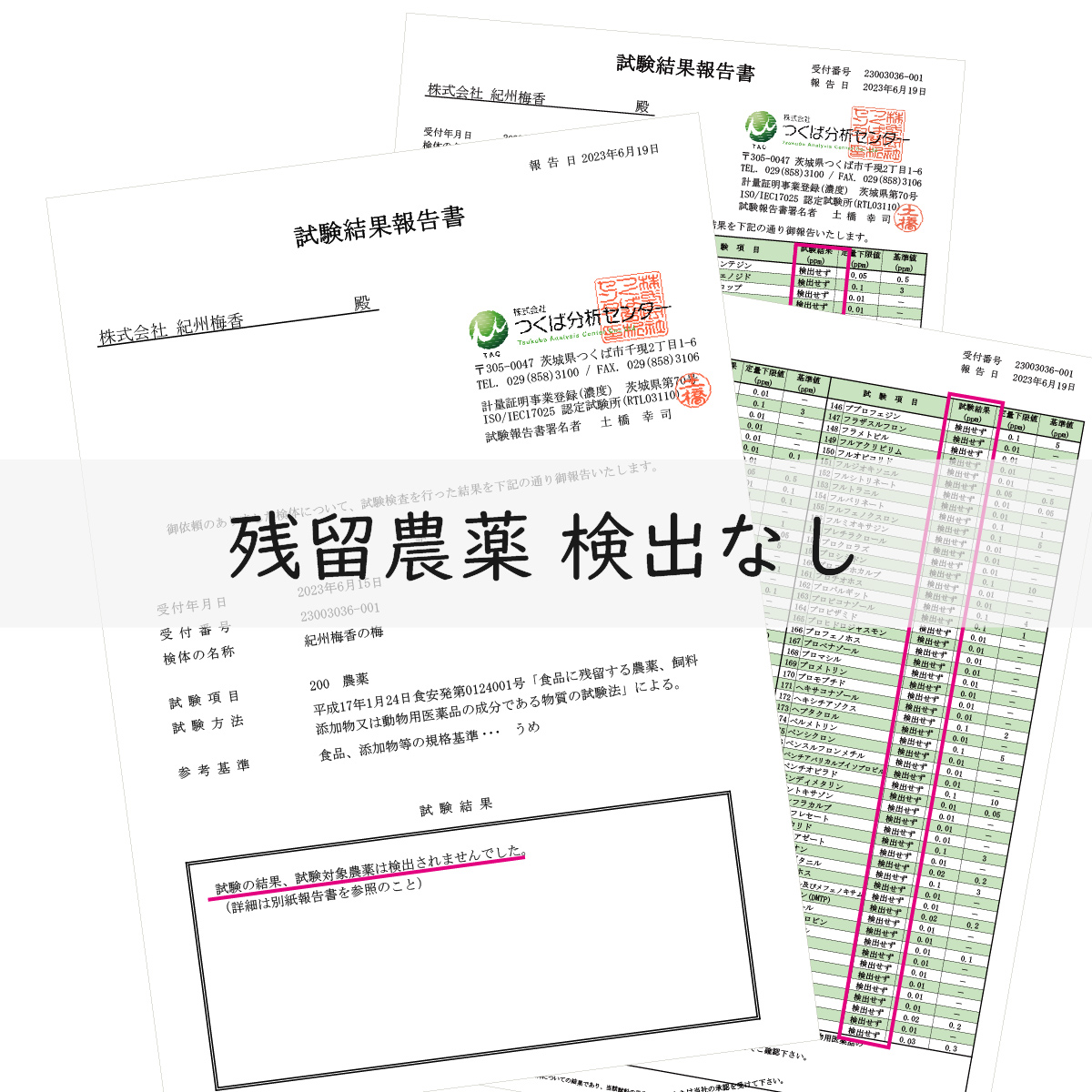梅干し 無農薬、無添加の訳あり減塩つぶれ梅1kg（500g×2）塩分3％ ｜ 和歌山 みなべ町 梅干し ウメ 梅 梅干 南高梅 減塩