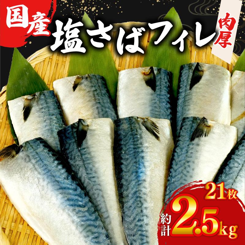 国産 塩サバ フィレ 【選べる内容量】 約2.5kg 21枚 小分け 個包装 鯖 天然 切り身 半身 肉厚 魚介 海鮮 冷凍 さば サバ フィーレ ご家庭用 贈答品 高級 人気 おかず おつまみ 静岡県 沼津市