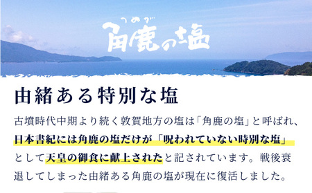 角鹿の塩 2点セット（塩・粗塩）【敦賀 塩 しお 粗塩 天然塩 天日塩 釜炊き 調味料 ミネラル お中元 お歳暮 ギフト 贈り物 プレゼント】[080-b201]